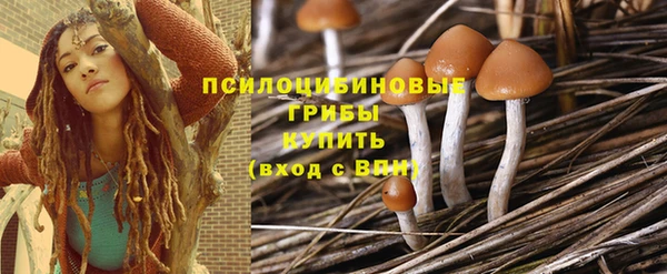 гидра Верхнеуральск